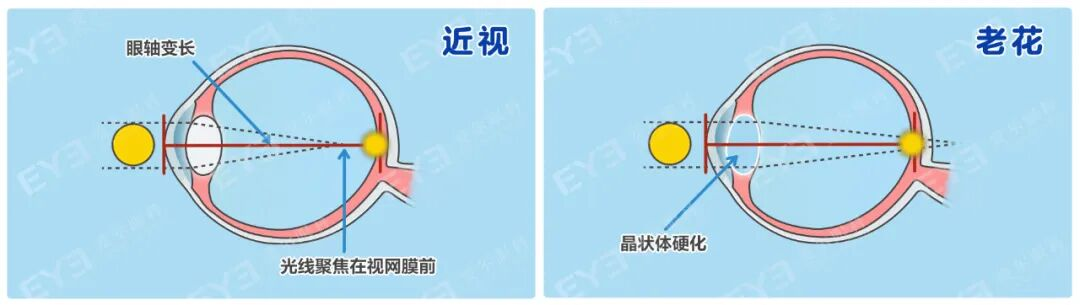 微信图片_20260122105244.png