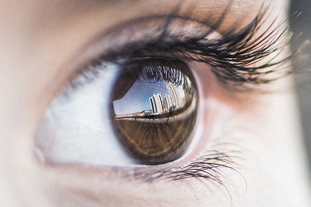 pixabay-眼睛