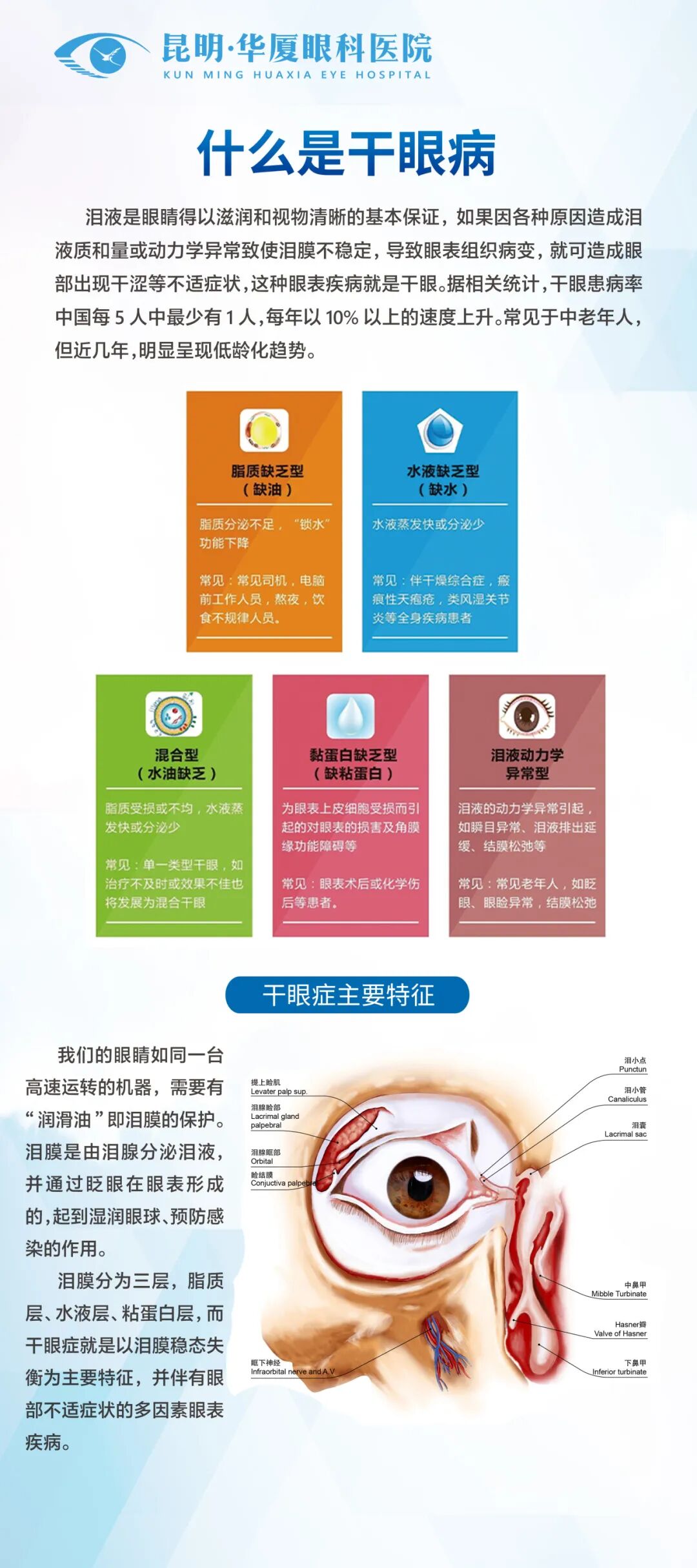 干眼症1
