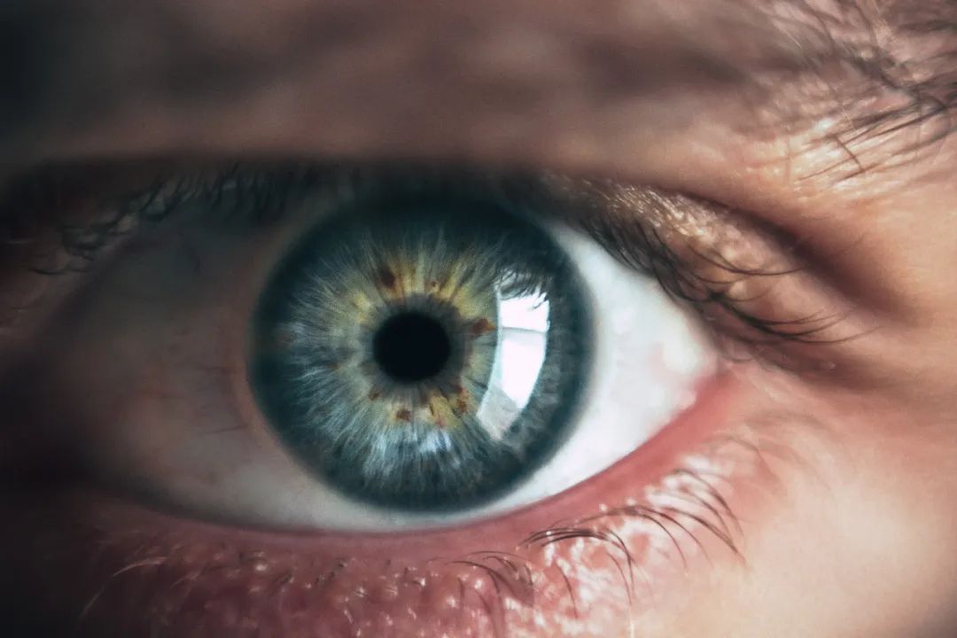 pexels-眼部局部