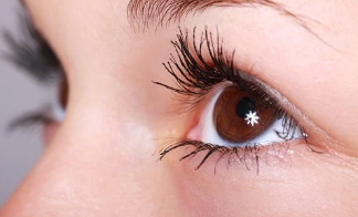 pixabay-眼睛侧面局部