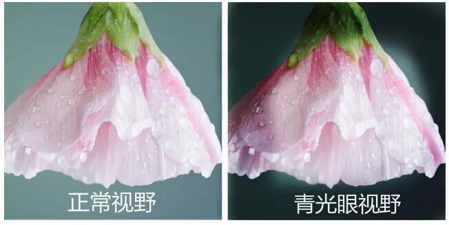 隧道视觉