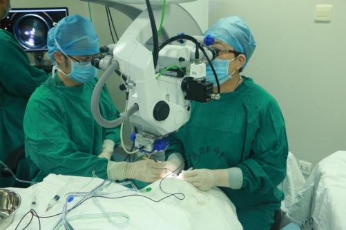 厦门眼科中心持续开展“早产儿视网膜病变筛查与治疗”项目