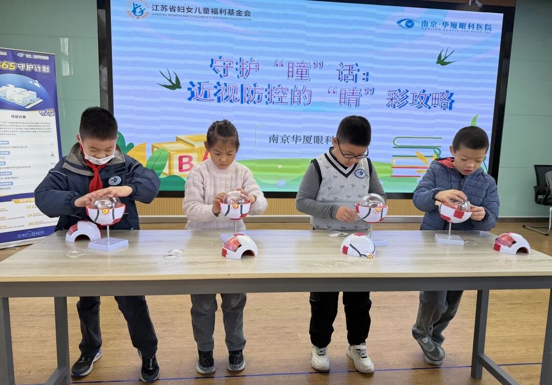 眼球模型拼装比赛