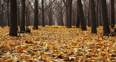 贵港华厦眼科 | 秋冬季节总觉得眼睛干？小心干眼症！护眼小贴士
