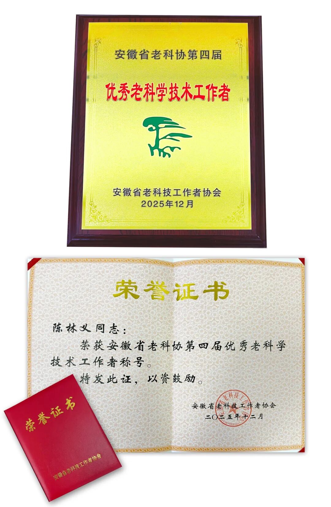 荣获省级荣誉表彰